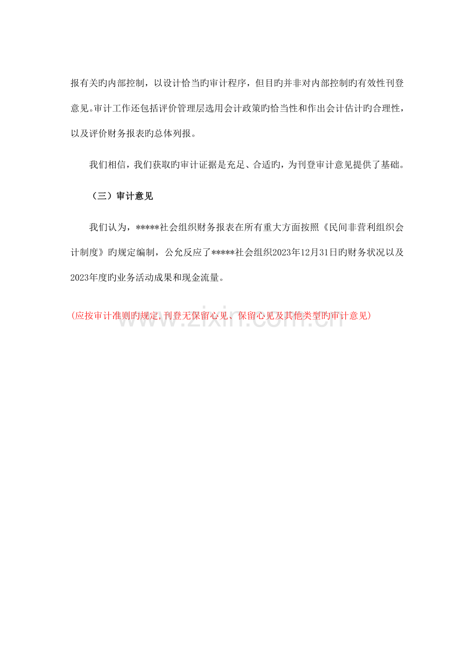 社会组织财务审计报告.doc_第2页