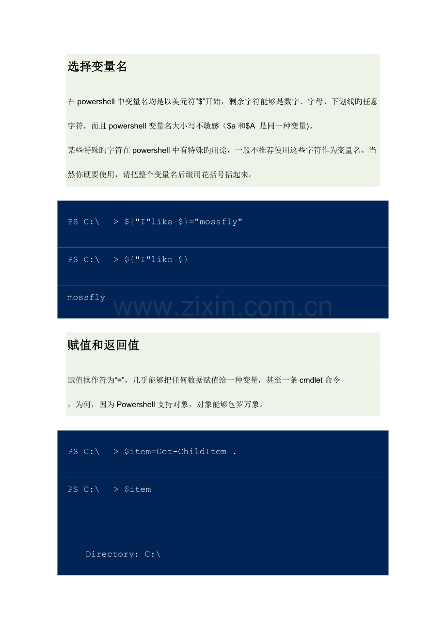 powershell完全学习手册.doc_第2页