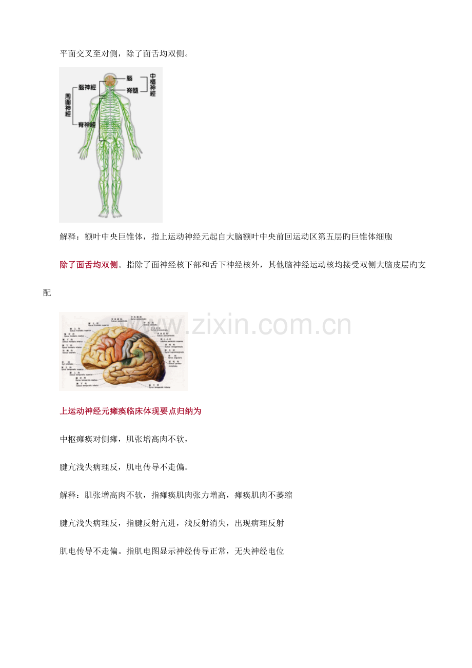 2023年执业医师考试重点精神神经系统.doc_第2页