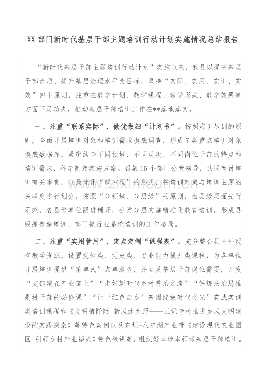 XX部门新时代基层干部主题培训行动计划实施情况总结报告.docx_第1页