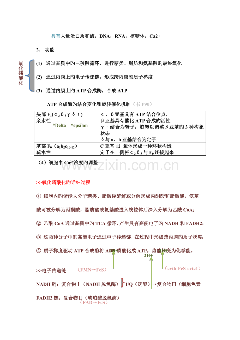 2023年细胞生物学线粒体与叶绿体知识点整理.doc_第2页