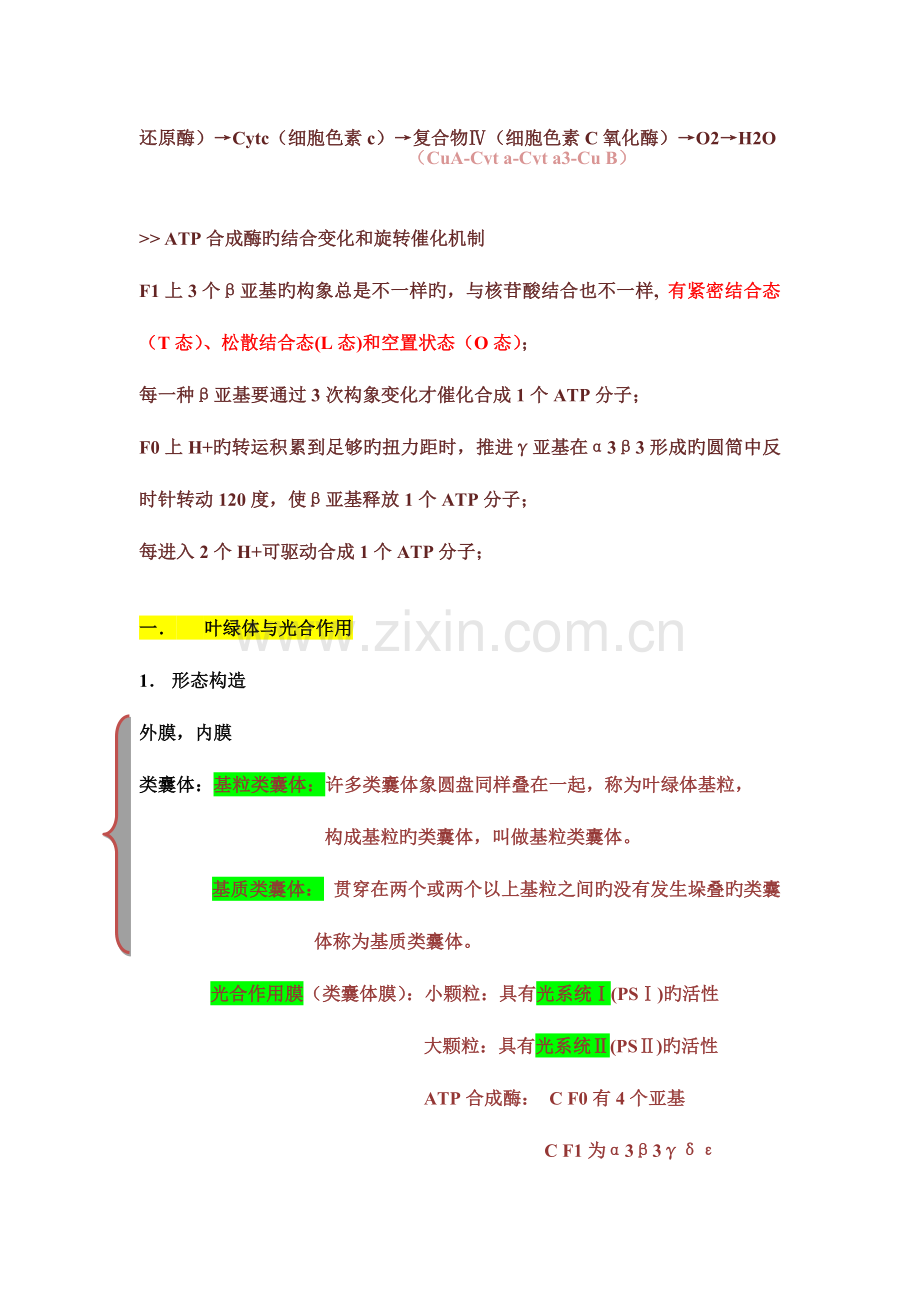 2023年细胞生物学线粒体与叶绿体知识点整理.doc_第3页