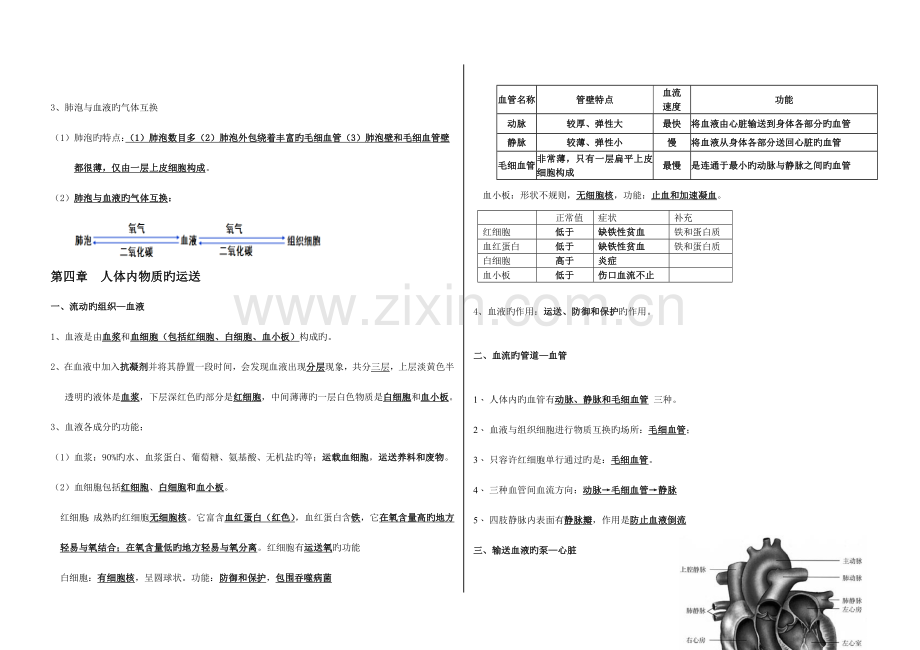 2023年新人教版七年级生物下册总复习知识点.doc_第3页