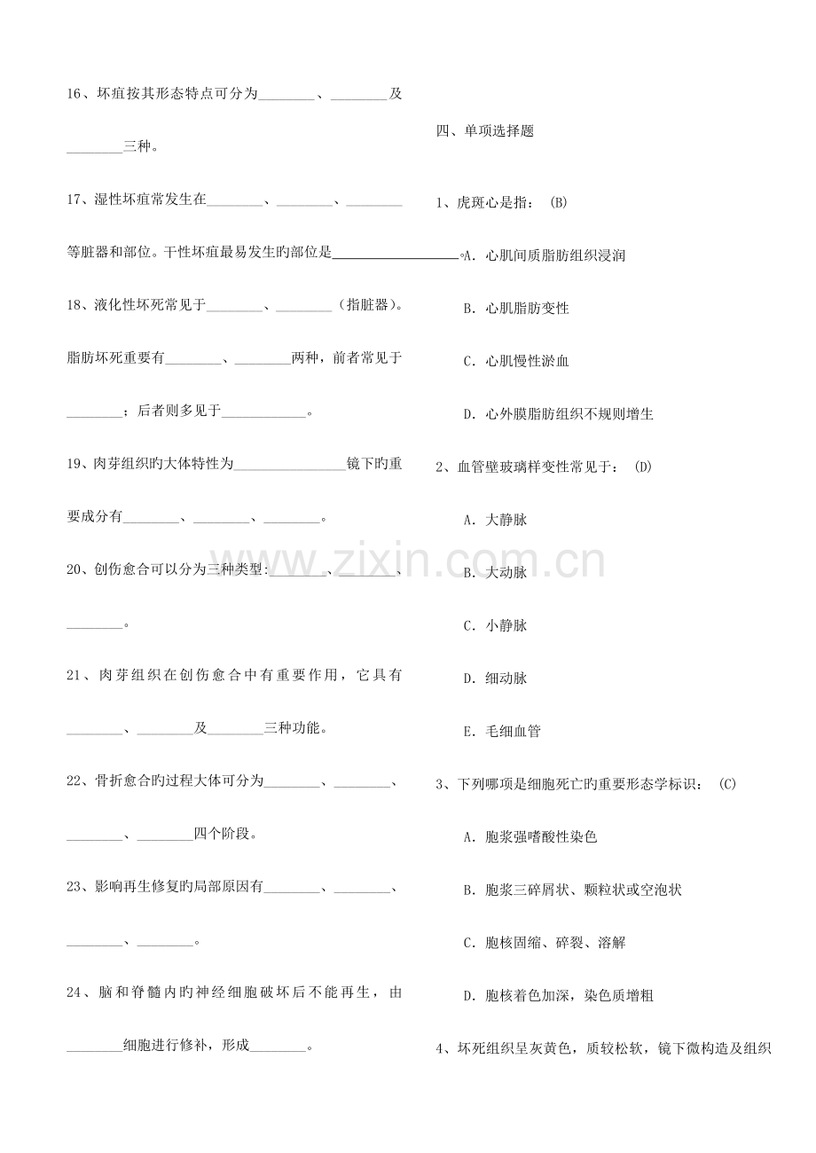 2023年病理学题库.doc_第3页