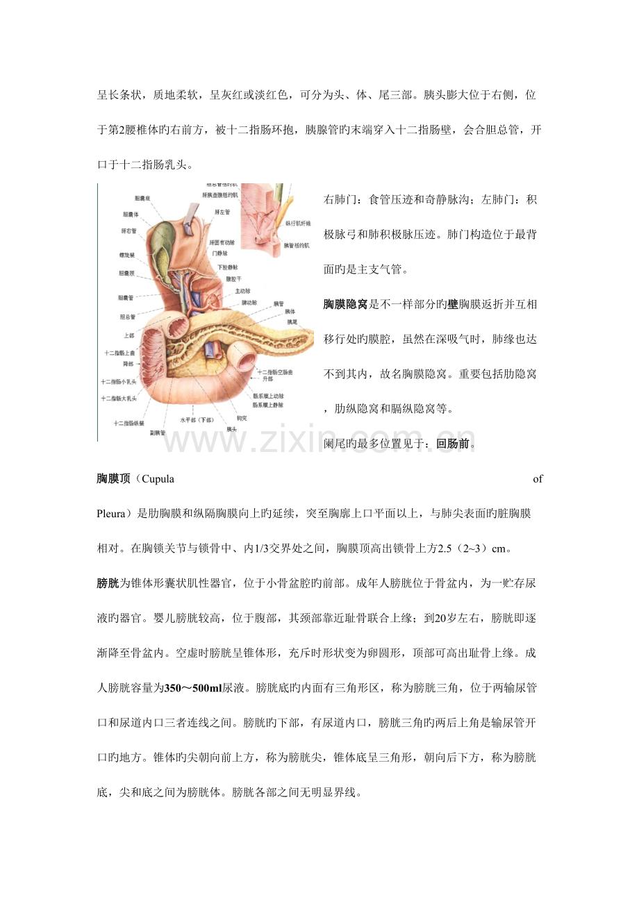 2023年病理学技术考试知识点及回顾.doc_第2页