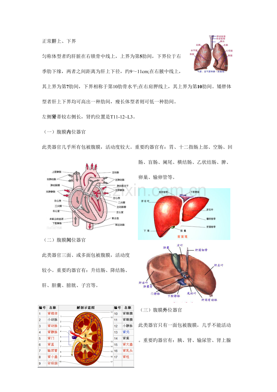 2023年病理学技术考试知识点及回顾.doc_第3页