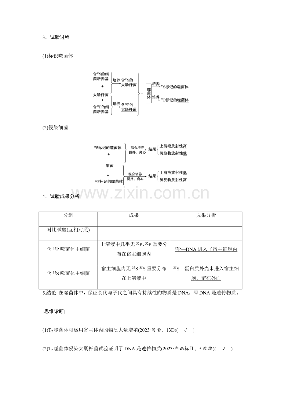 2023年生物必修二DNA是主要的遗传物质知识点知识总结基础梳理.doc_第3页