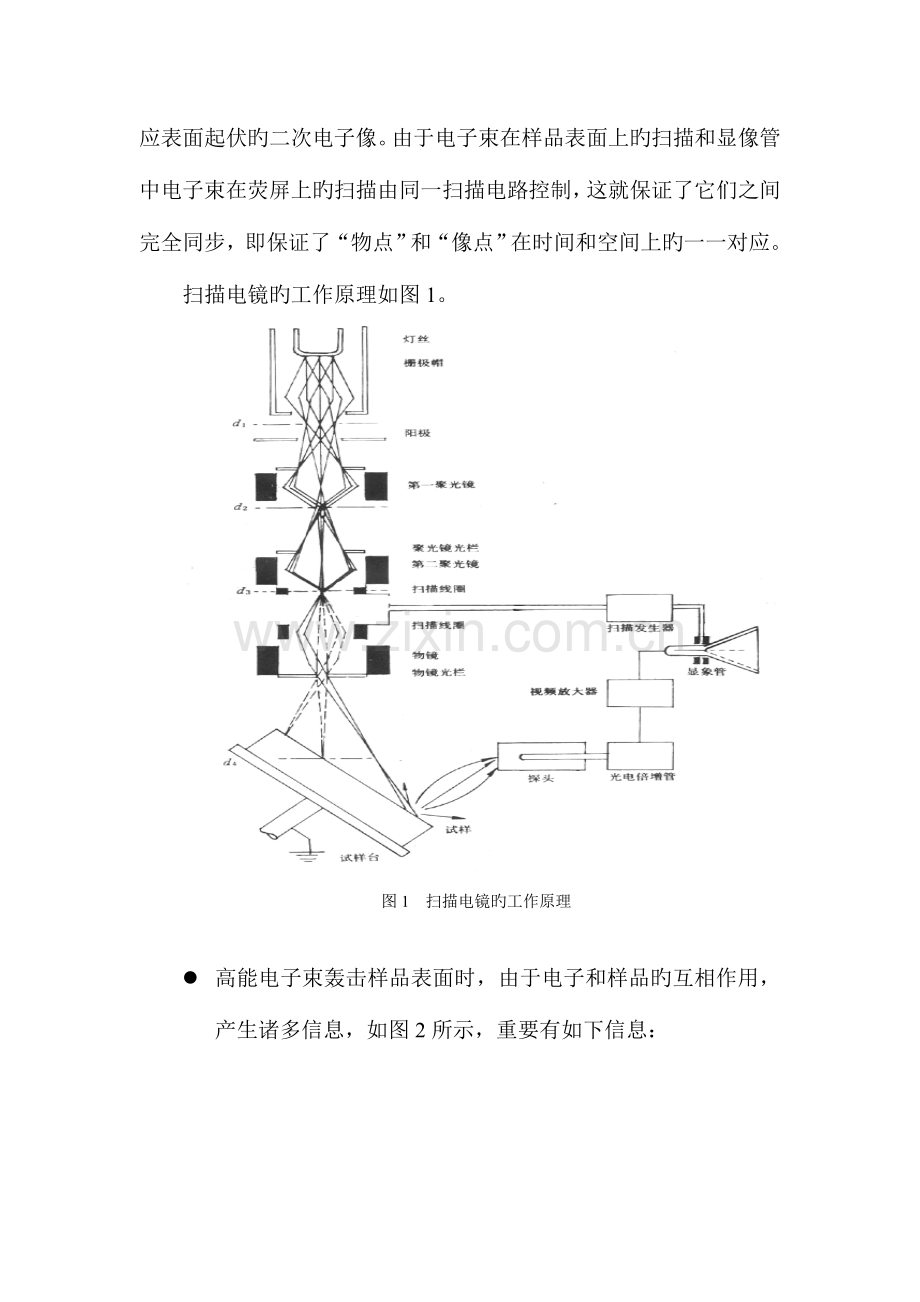 2023年sem实验报告.doc_第2页