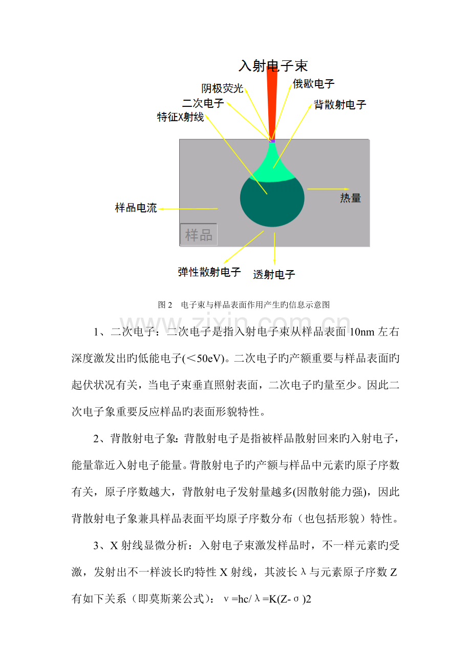 2023年sem实验报告.doc_第3页