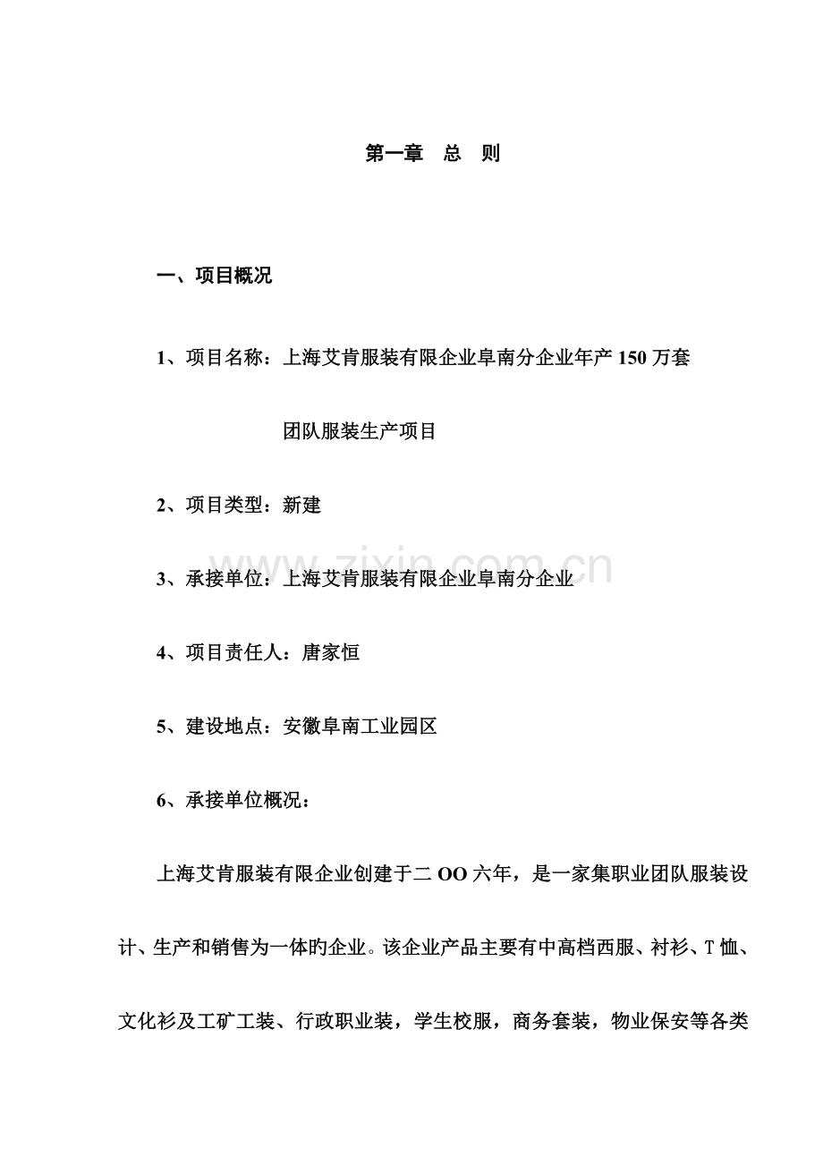 服装公司团体服装生产项目可行性报告.doc_第1页