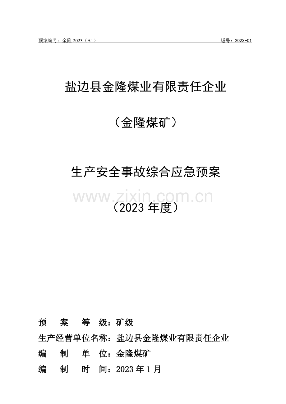 煤业有限责任公司生产安全事故综合应急预案.doc_第1页