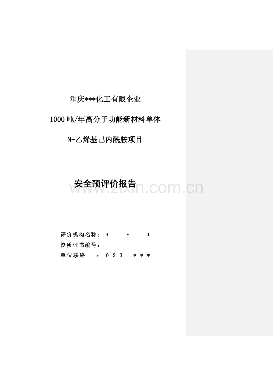 项目安全预评价报告.doc_第1页