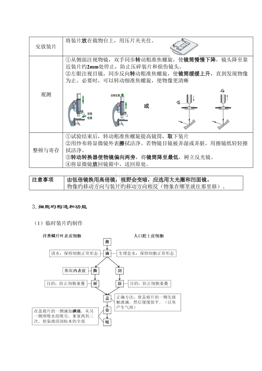 2023年济南版初中生物知识点大全.doc_第3页