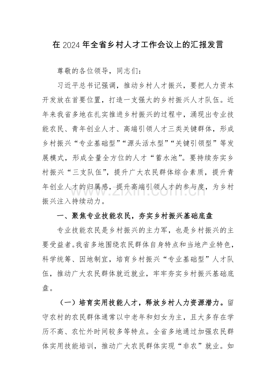 在2024年全省乡村人才工作会议上的汇报发言范文.docx_第1页