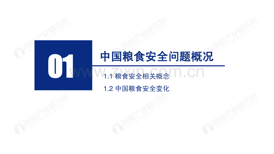 2020年中国粮食供需安全研究报告.pdf_第3页