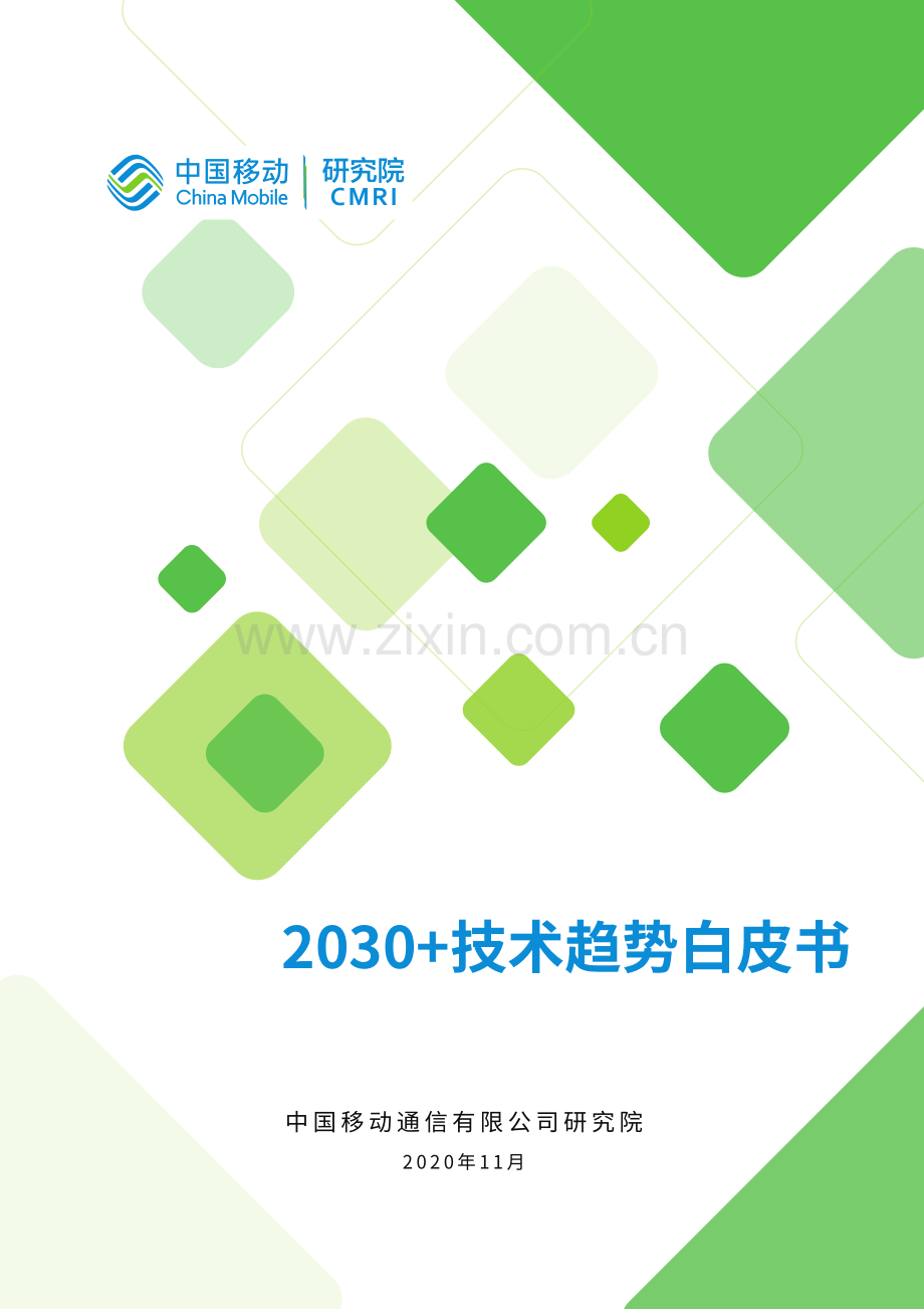 2030技术趋势白皮书.pdf_第1页