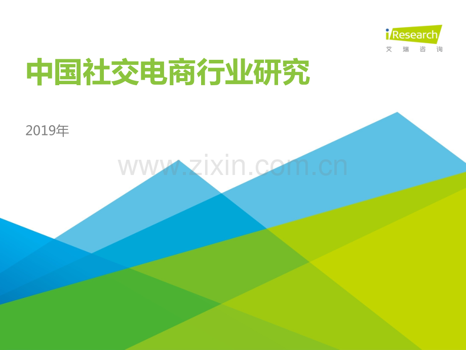 2019年中国社交电商行业研究报告.pdf_第1页