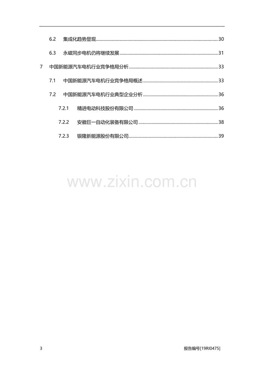 2019年中国新能源汽车电机行业概览.pdf_第3页