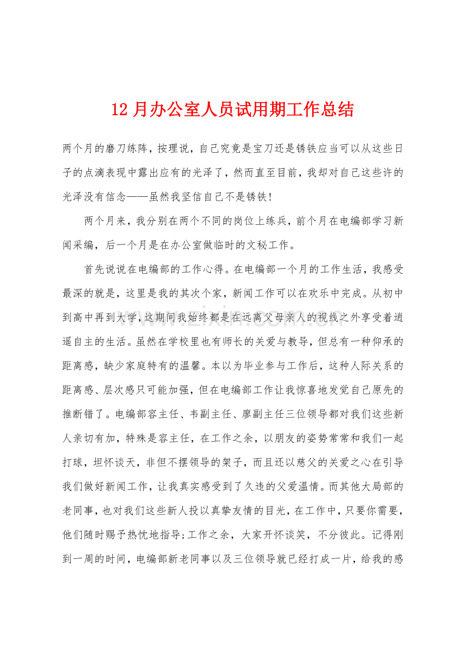 12月办公室人员试用期工作总结.docx_第1页