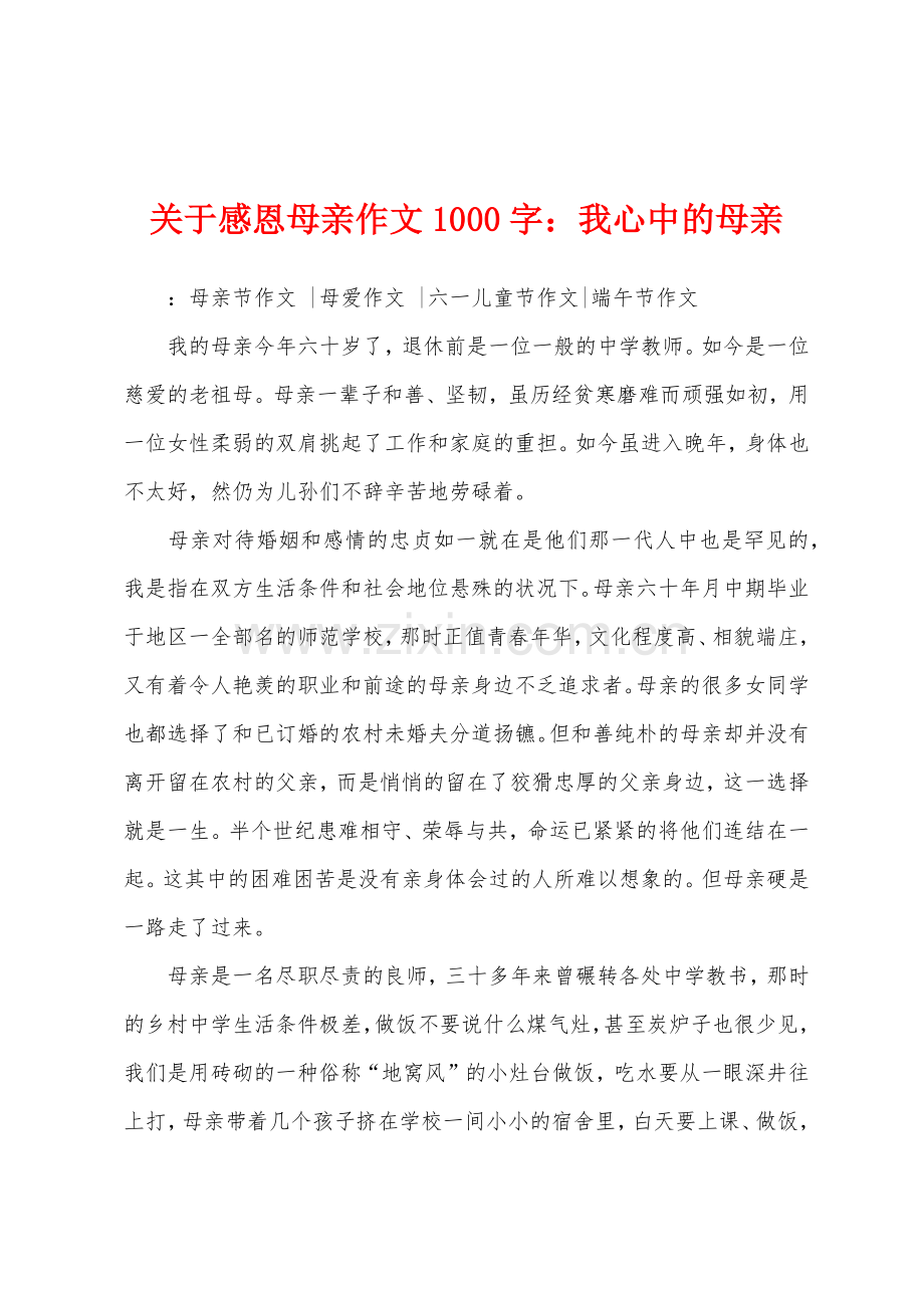 关于感恩母亲作文1000字我心中的母亲.docx_第1页