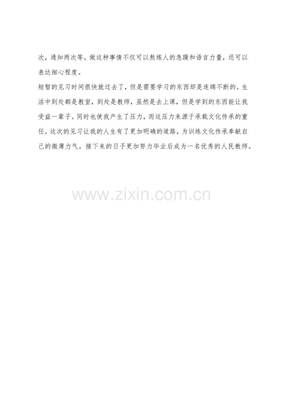 音乐教师见习报告精选范文.docx_第3页