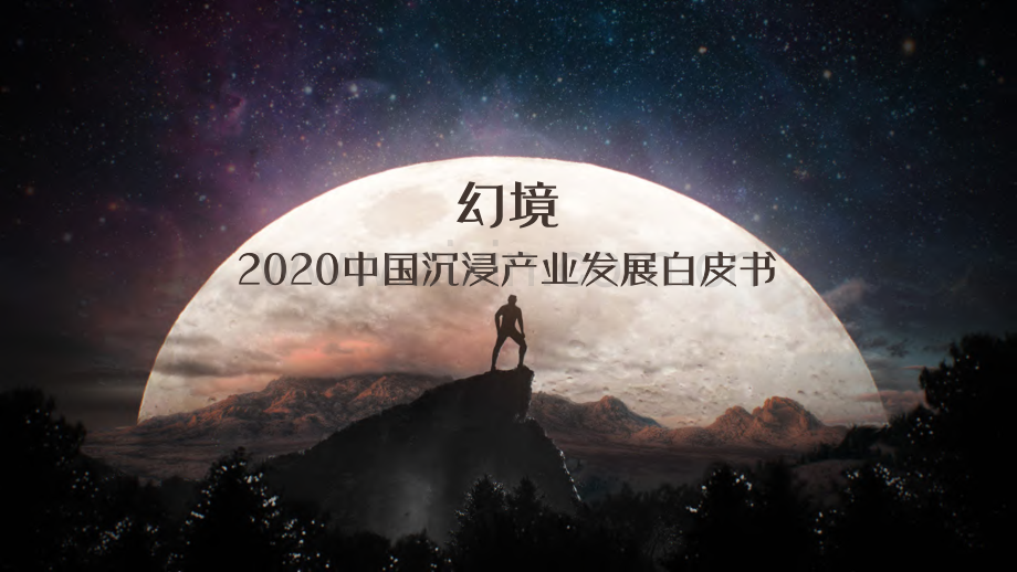 2020中国沉浸产业发展白皮书.pdf_第1页