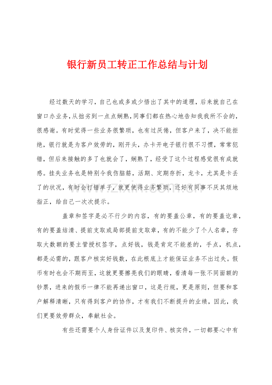 银行新员工转正工作总结与计划.docx_第1页