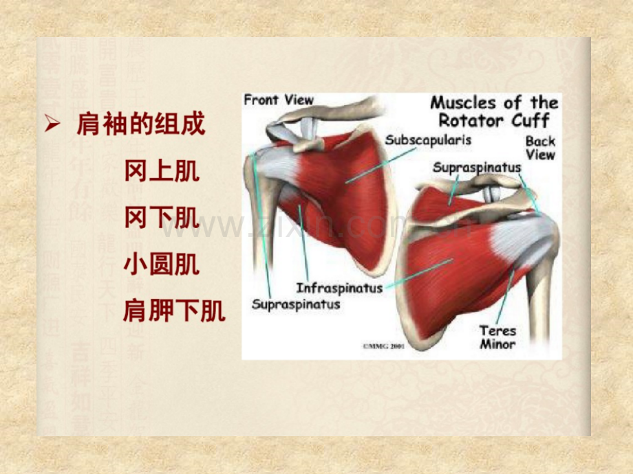 肩袖损伤的诊断和治疗PPT课件.pptx_第3页