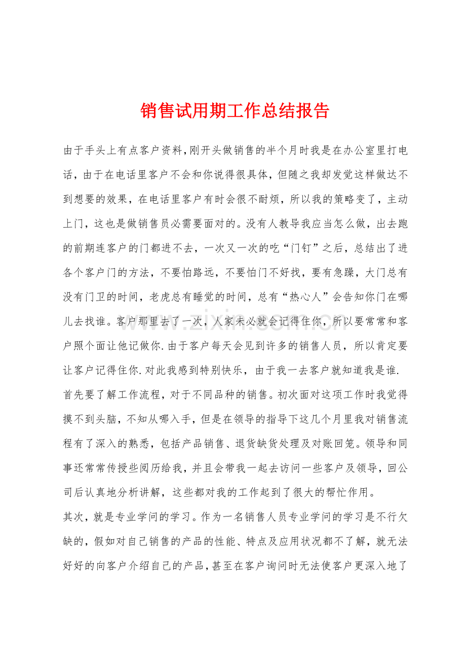 销售试用期工作总结报告.docx_第1页