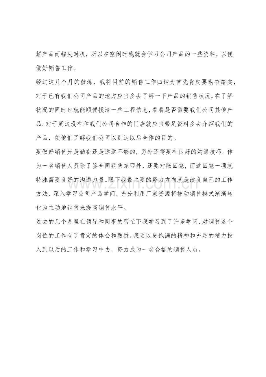 销售试用期工作总结报告.docx_第2页