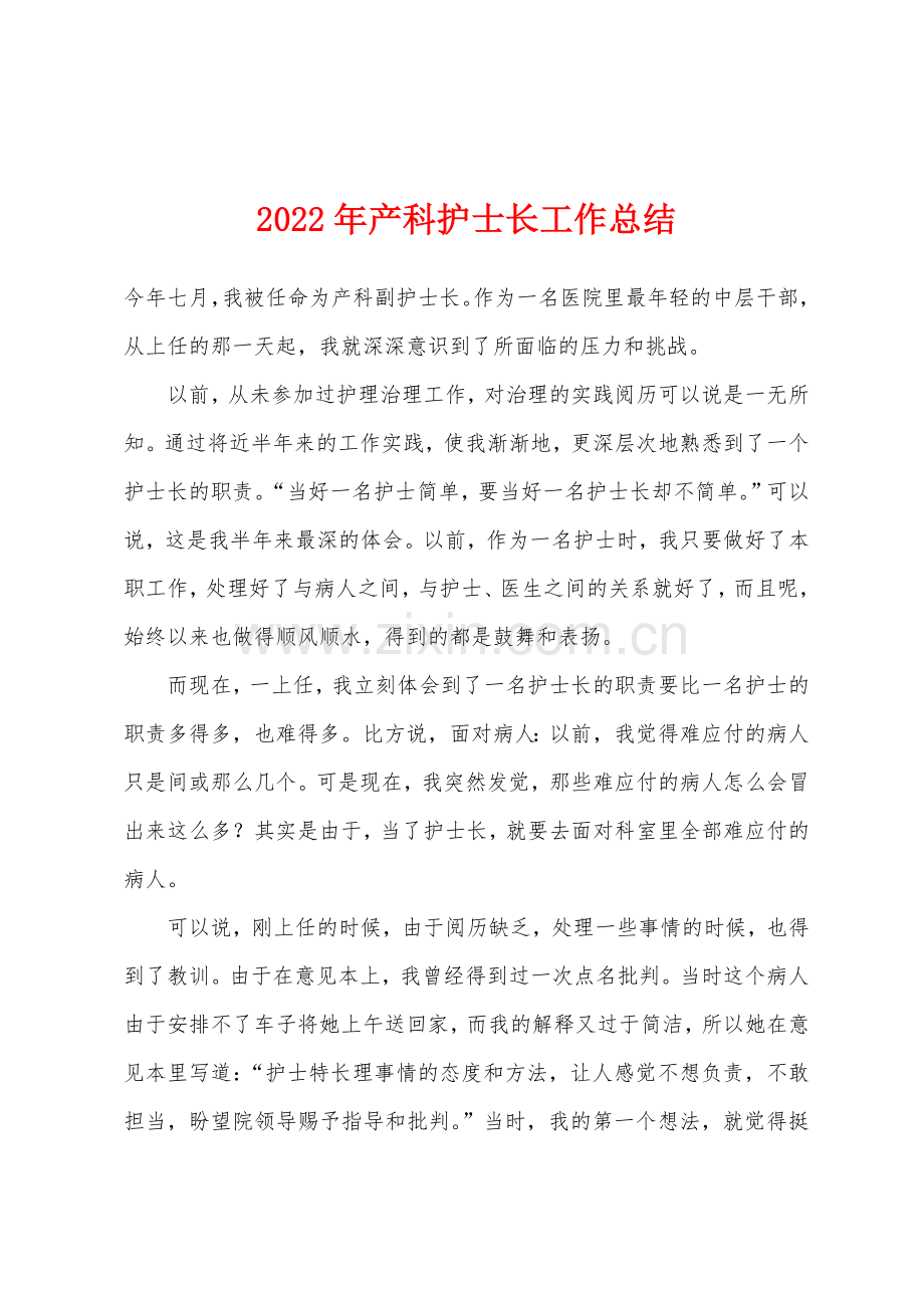 2022年产科护士长工作总结.docx_第1页