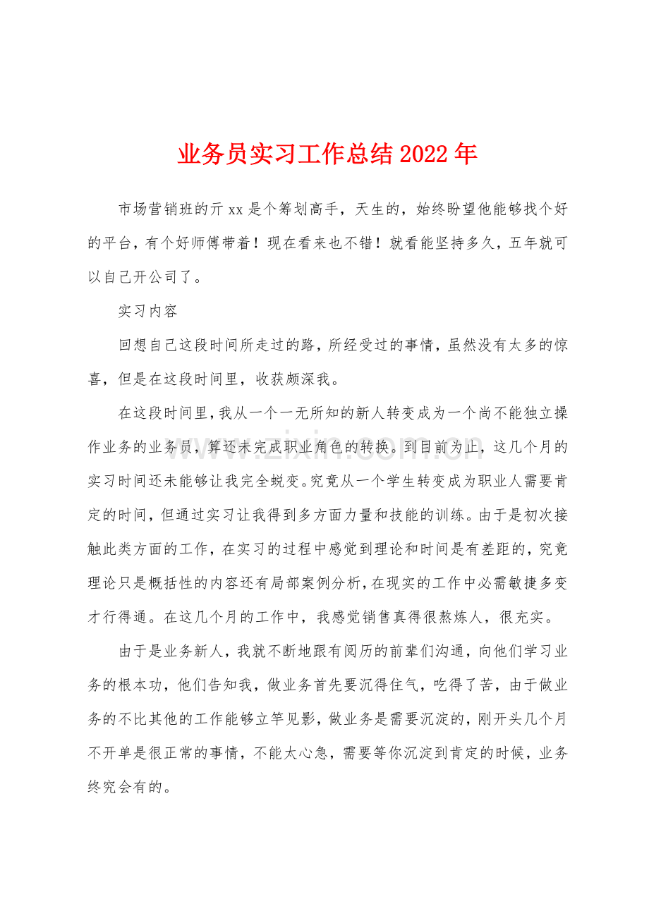 业务员实习工作总结2022年.docx_第1页