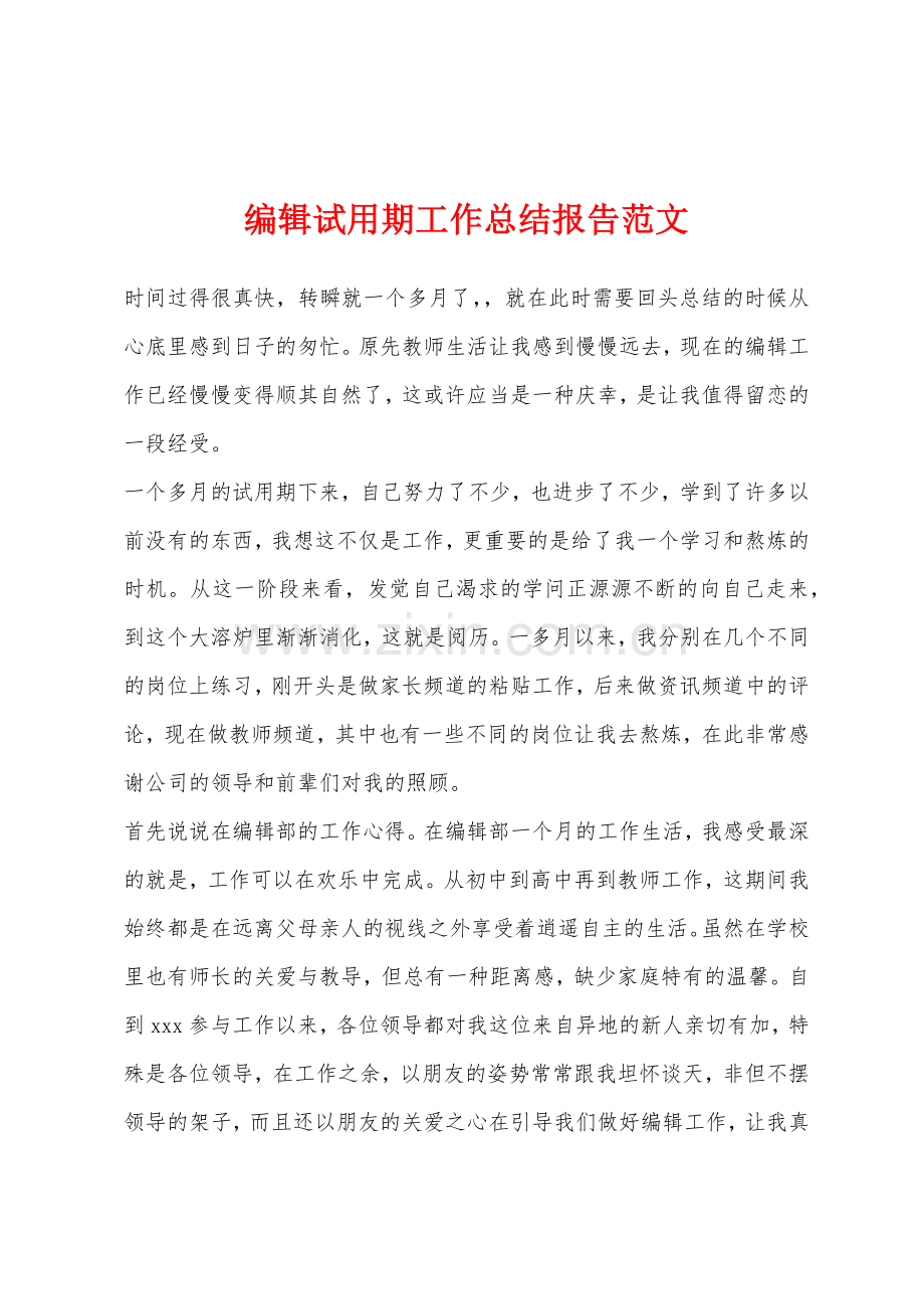 编辑试用期工作总结报告.docx_第1页