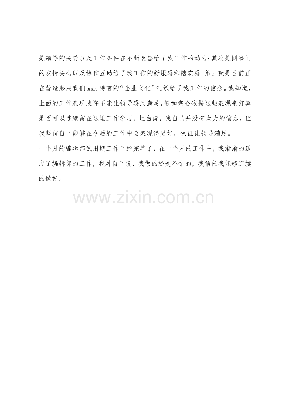 编辑试用期工作总结报告.docx_第3页