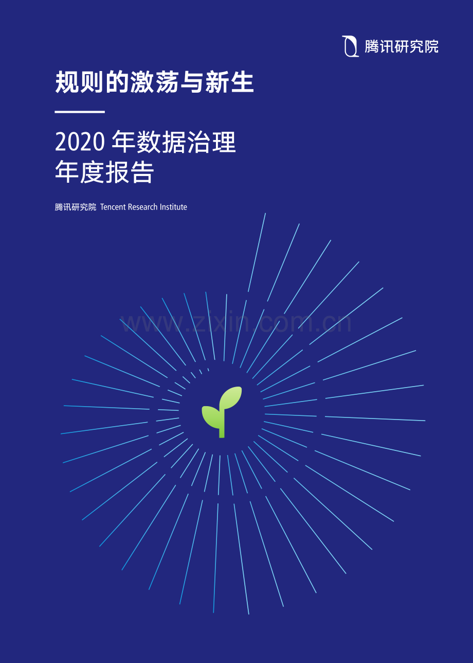 2020数据治理年度报告.pdf_第1页