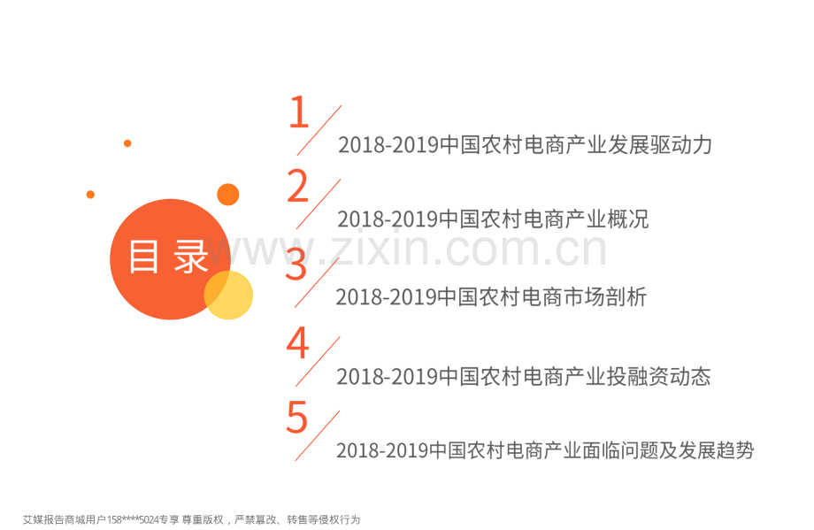 2018-2019中国农村电商行业分析及商业模式研究报告.pdf_第3页