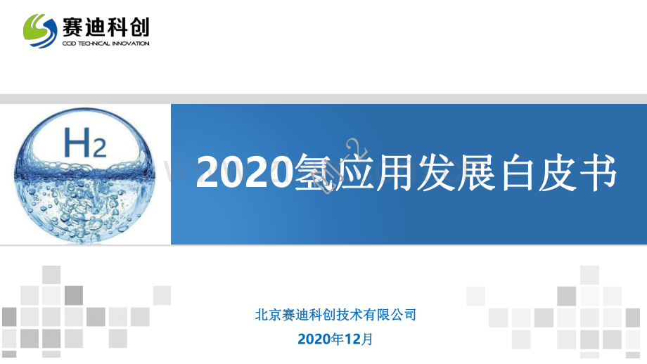 2020氢应用发展白皮书.pdf_第1页