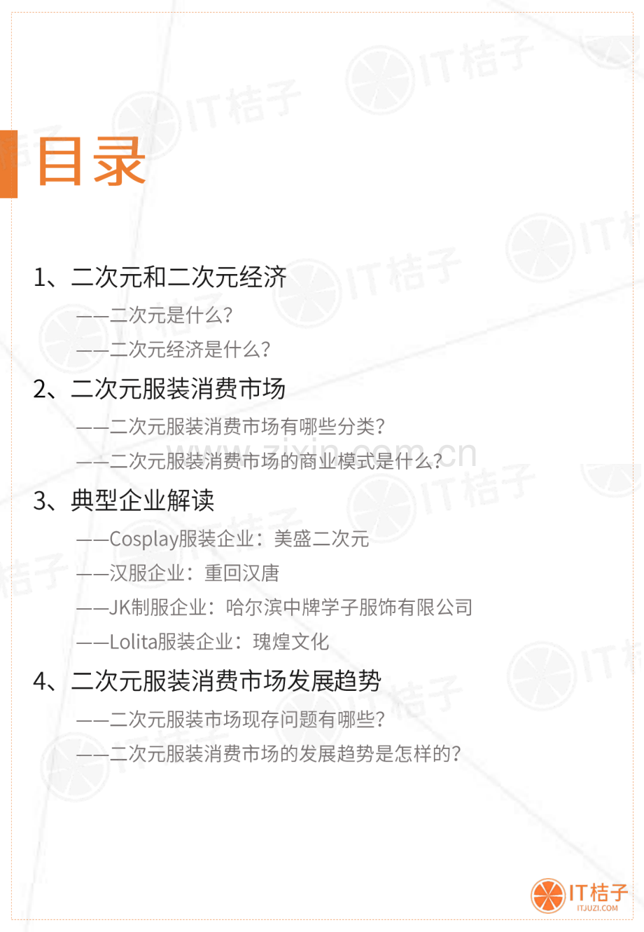 2019-2020年中国二次元服装消费市场分析报告.pdf_第2页