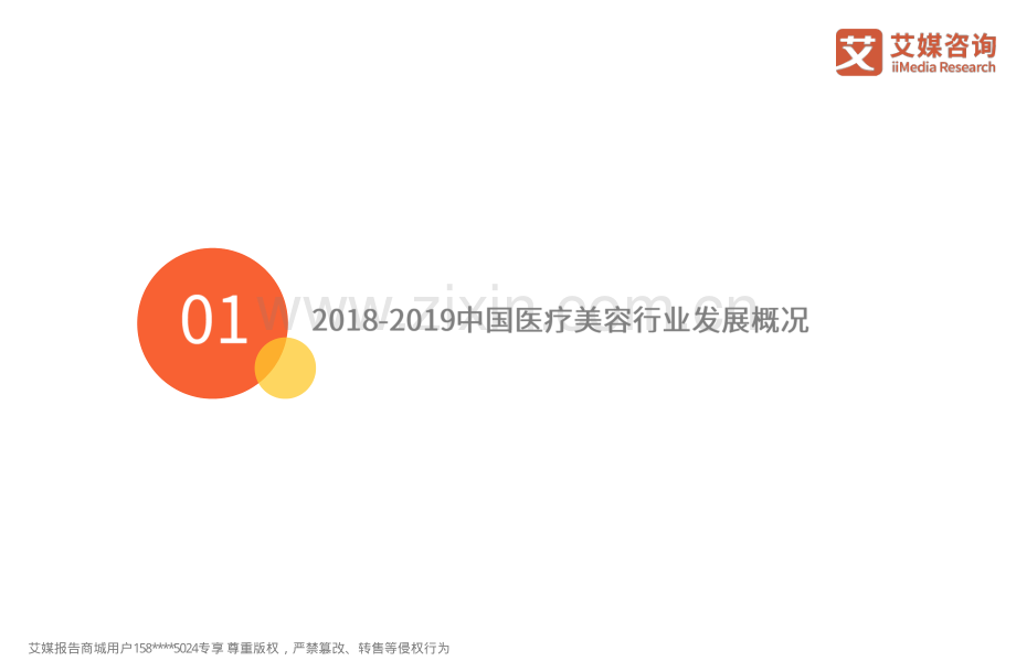 2018-2019中国医疗美容行业研究与产业链分析报告.pdf_第3页