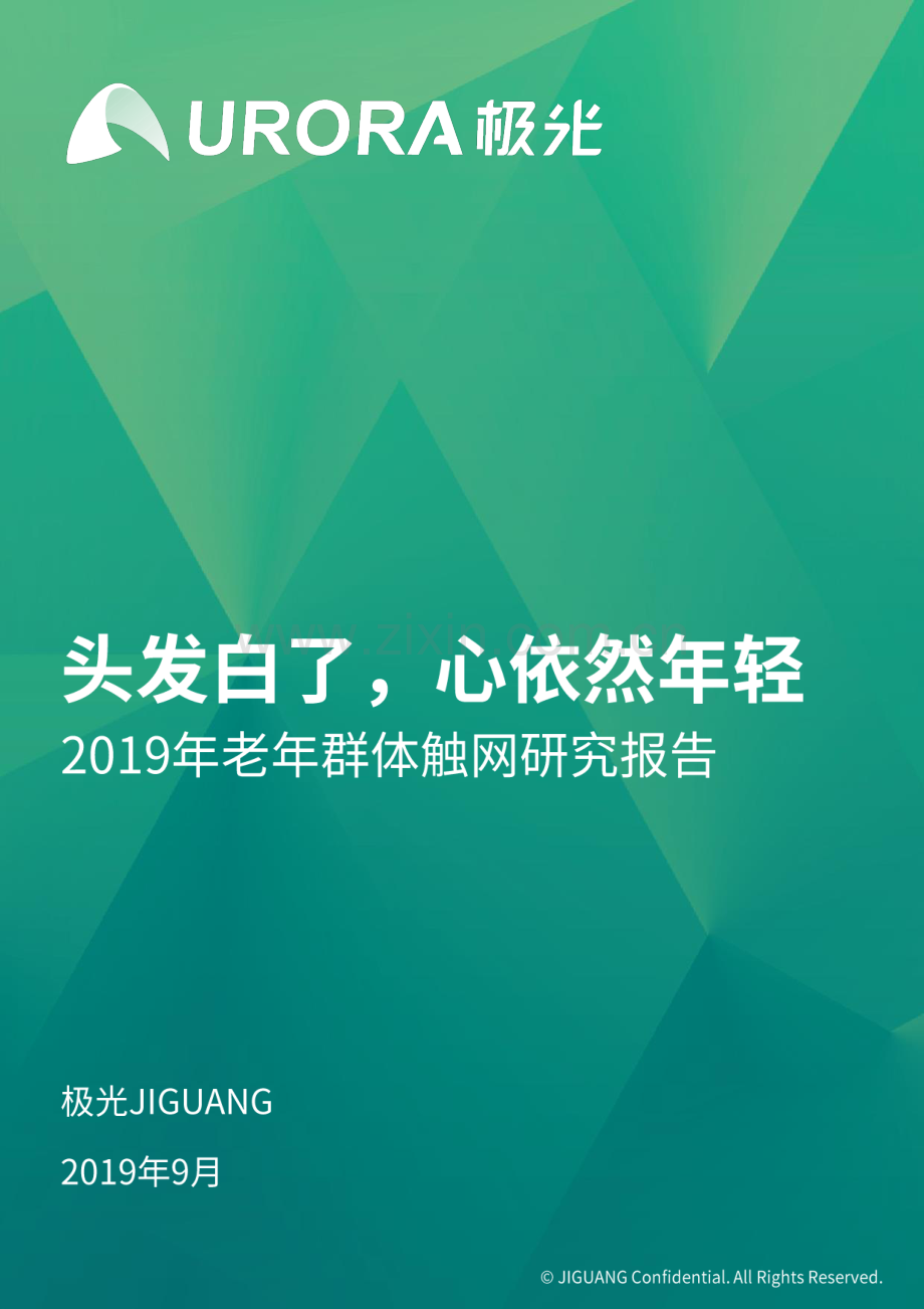 2019年老年群体触网研究报告.pdf_第1页