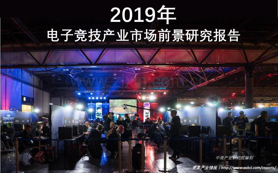 2019年中国电子竞技产业市场前景研究报告.pdf_第1页