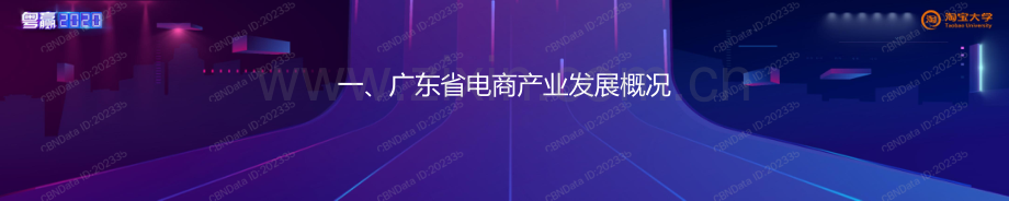 广东省电商产业发展分析报告.pdf_第2页