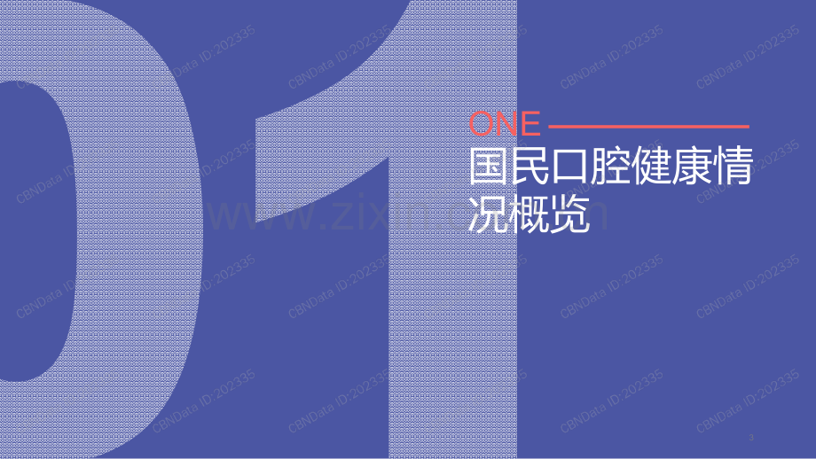 2019饮食习惯与口腔健康白皮书.pdf_第3页