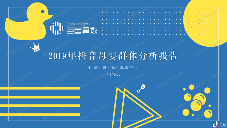 2019抖音母婴群体分析报告.pdf_第1页