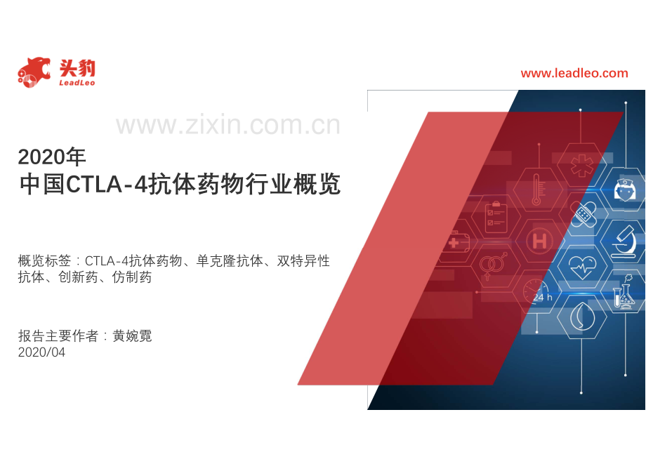 2020年中国CTLA-4抗体药物行业概览.pdf_第1页