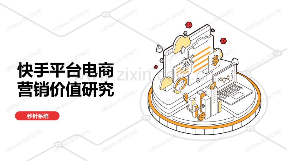 快手平台电商营销价值研究报告.pdf_第1页