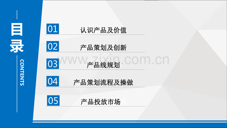 新产品策划与市场投放操作.pdf_第2页