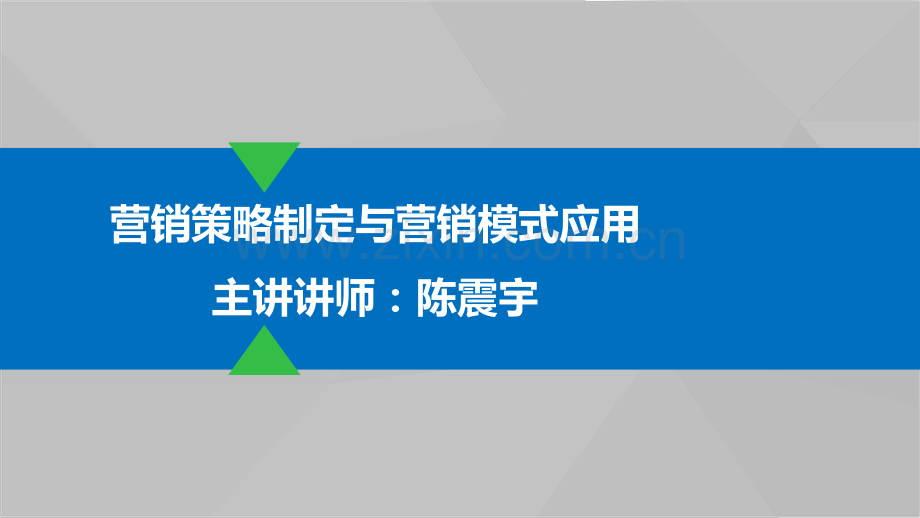 营销策略制定与营销模式应用.pdf_第1页