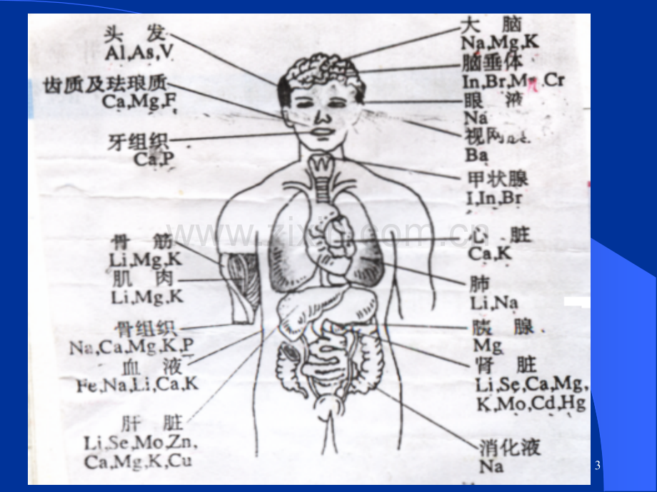 微量元素与人体健康-1.ppt_第3页