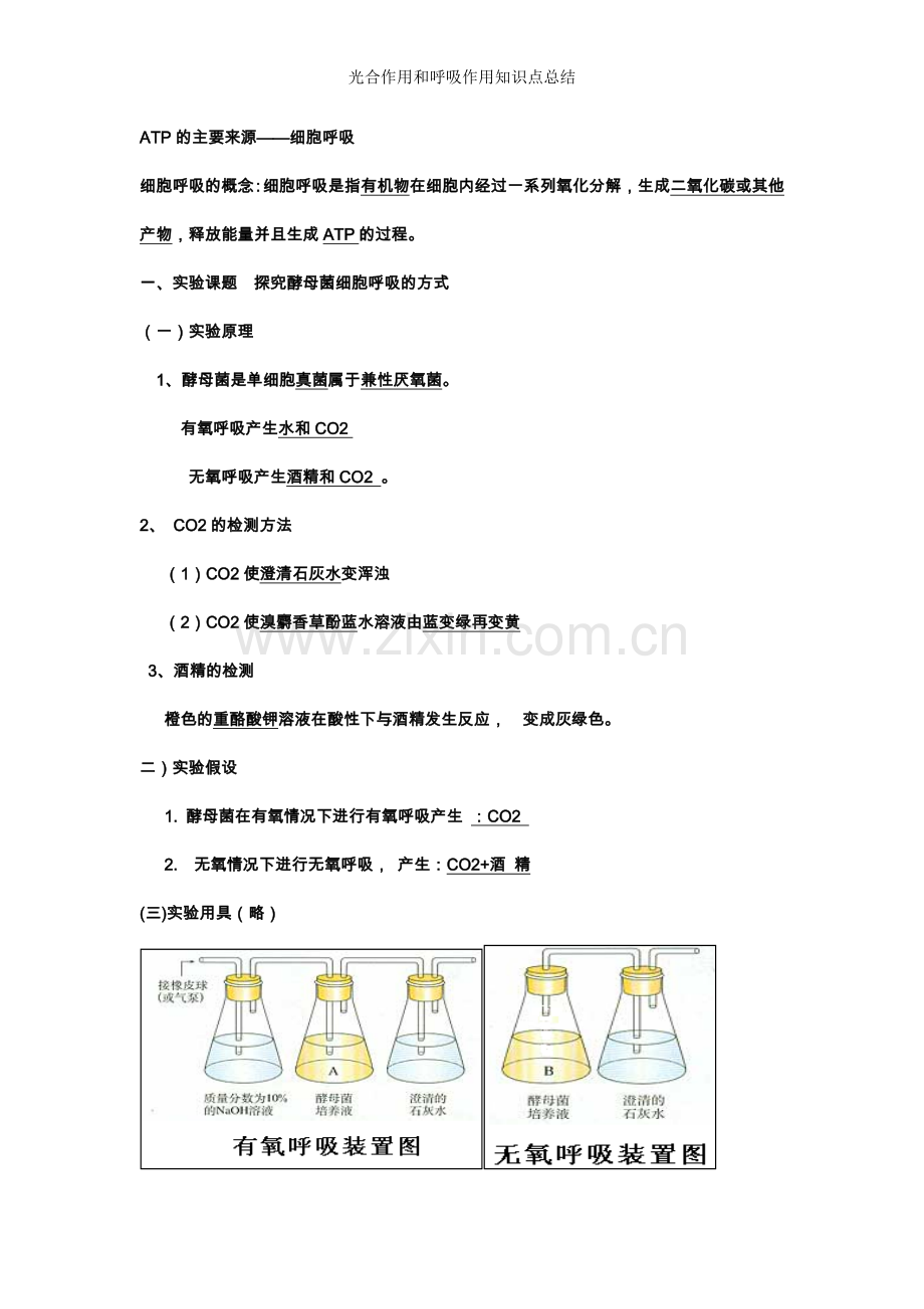 光合作用和呼吸作用知识点总结.doc_第1页